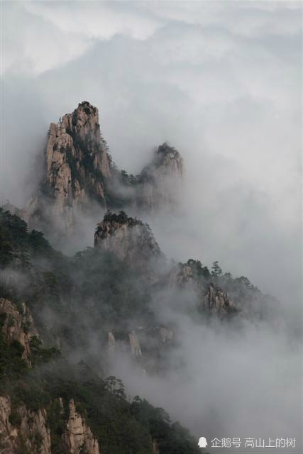 云山雾绕美丽的风景