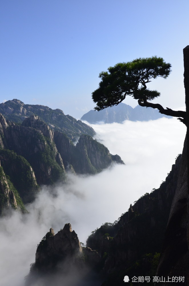 云山雾绕美丽的风景