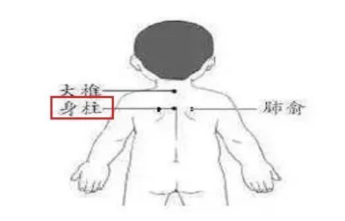 身柱穴向上,在第七锥棘突下凹陷处就是大椎穴,可用艾条来回灸这两个