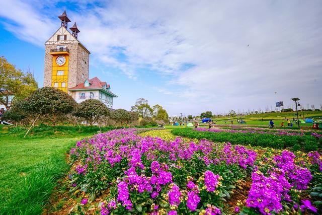 看的梦幻的紫色花海,搭配着蓝天,真的是享受.