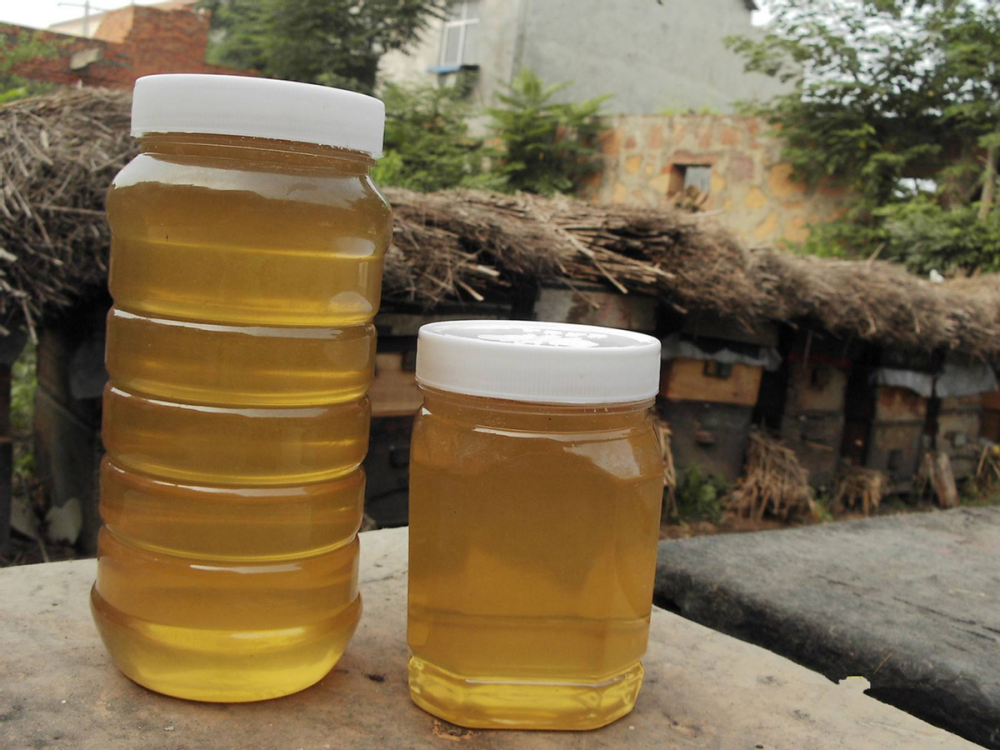 喂糖水能产蜂蜜吗 糖水蜜和真蜂蜜有什么区别 如何辨别真假 腾讯新闻