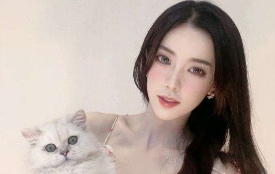 700w粉天才小熊猫视频制作周期长达几年被称年更天花板