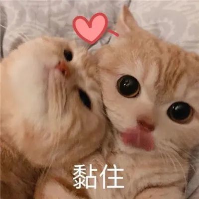 想你满脑子都是你情侣暧昧聊天表情包