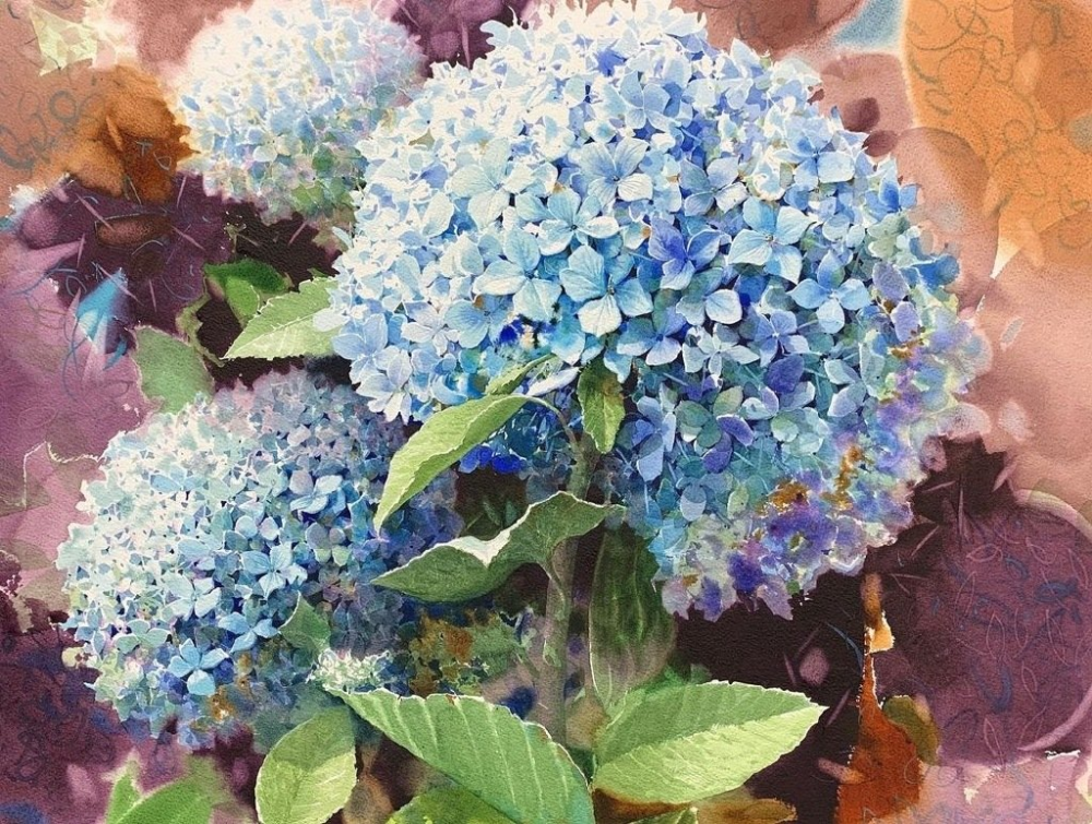 水彩蓝色绣球花画师shinjongsik
