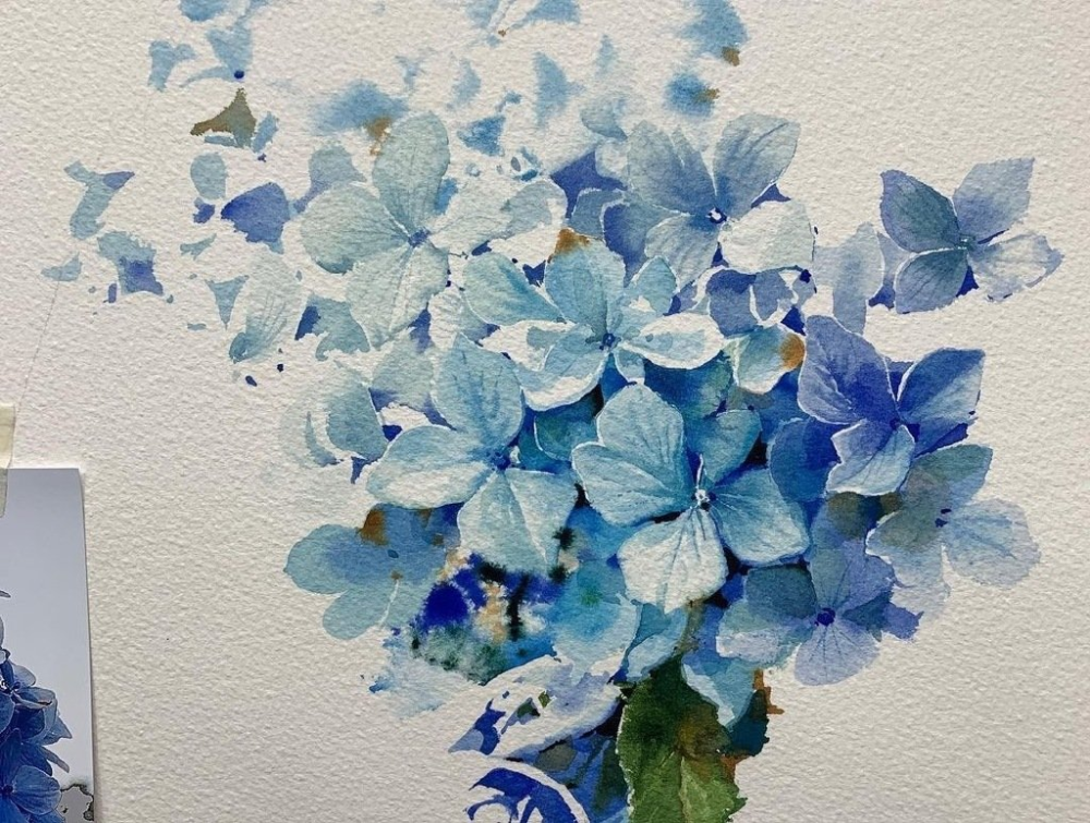 水彩蓝色绣球花画师shinjongsik