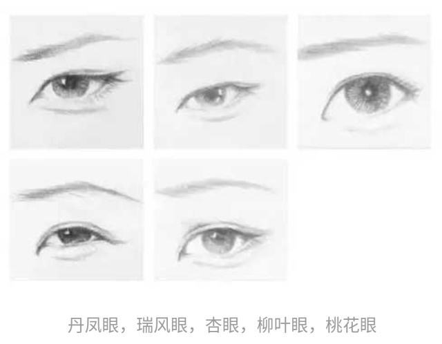 你的眼型暴露了你的性格和命运 狐狸眼的人事业心最强 天天看点