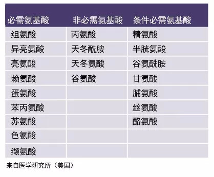 蛋白质由氨基酸组成,氨基酸由分为必需氨基酸,半必需氨基酸与条件必需