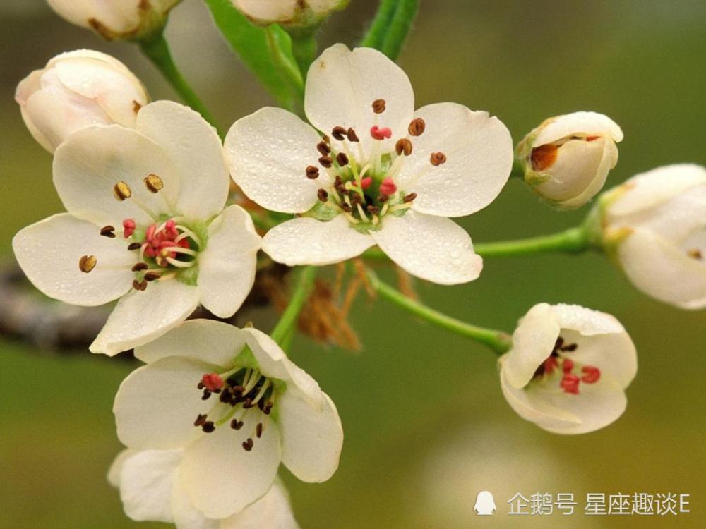 2月17日 21日爱情运势 瓜熟蒂落 情深似海的四大星座 腾讯新闻