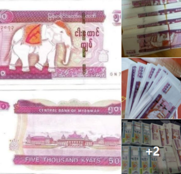 用钱买“钱”！10万就能买“100万”？缅甸有人在社交网站公开交易假币东莞星火教育一对一价格表