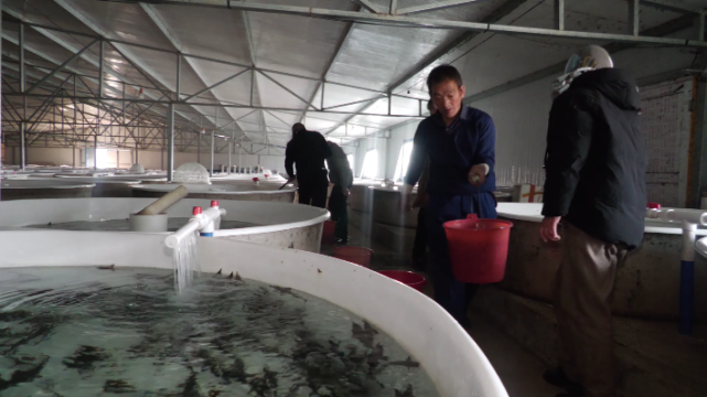 【新春走基层】涉县史海刚:念好养鱼经 走好致富路