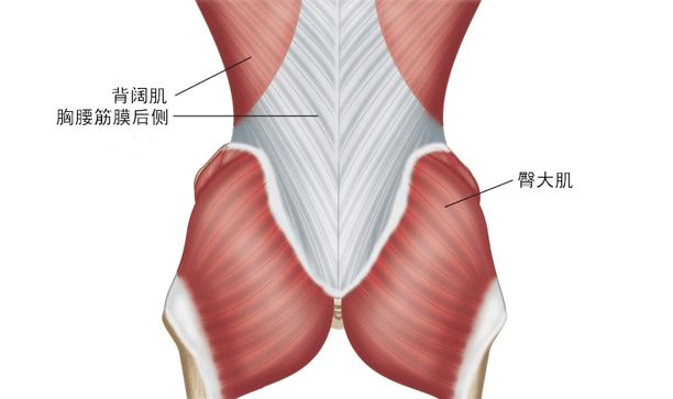 小宇课堂冲击波治疗腰背肌筋膜疼痛综合征