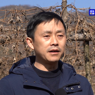 在白龙塘镇吊瓜合作社示范园区,返乡创业青年王文清正在为瓜农传授