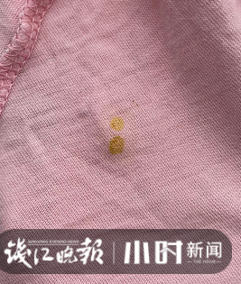 蜜蜂排泄物添堵不少杭州人都遇到过专家别怪它们它们其实也很难