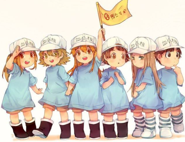 而且是价值最高的粉丝群体,他们都是资深二次元老用户了,不同于其他短