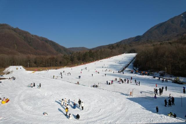 雾凇冰挂 雪上竞逐 四川光雾山"冷资源"正变身"热经济"