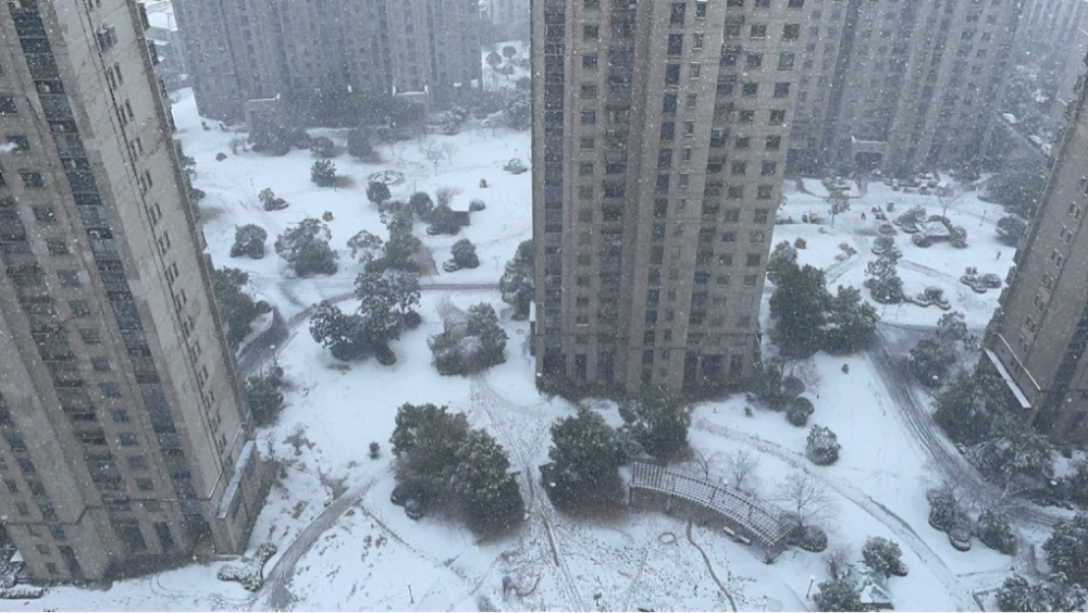 香港特区政府开着久违布瑞雪兆丰年值得慈善57亿