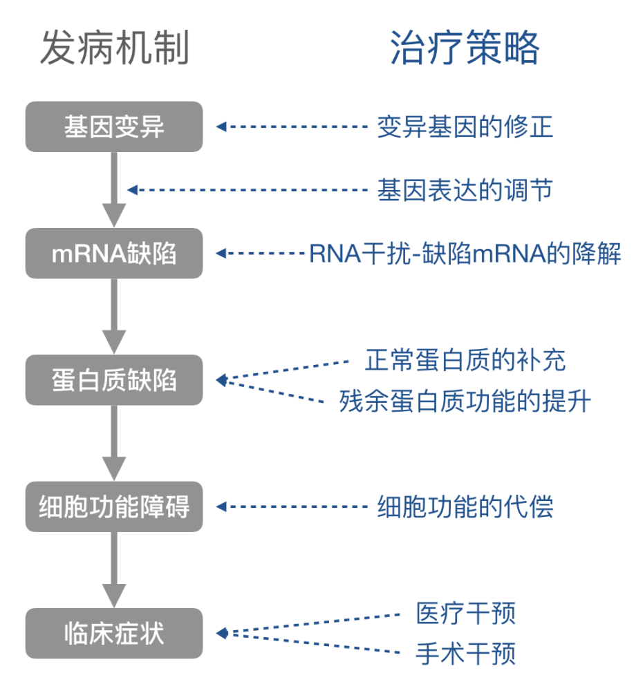 郑维义:罕见病的基因治疗|国际罕见病日99科普公益