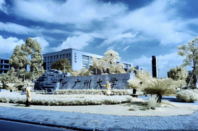 5所地区一流的综合类大学学科很齐全性价比高全国排名也靠前