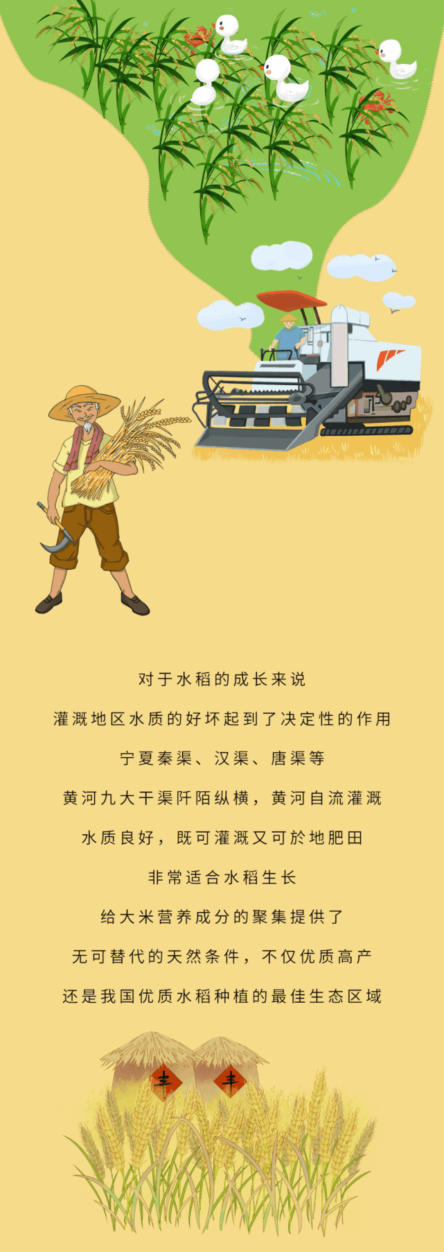 来自宁夏一粒好大米的故事