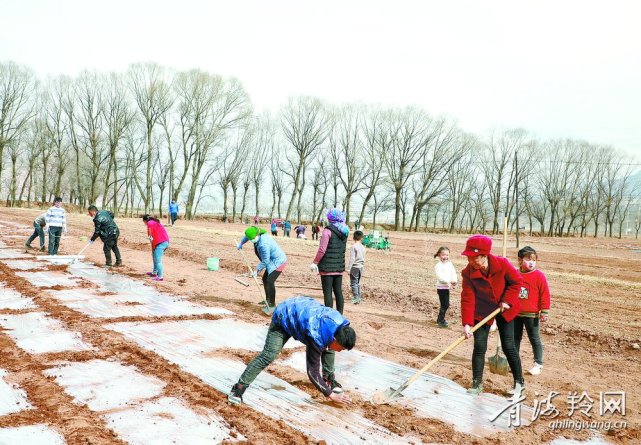 民和县官亭镇河沿村图片