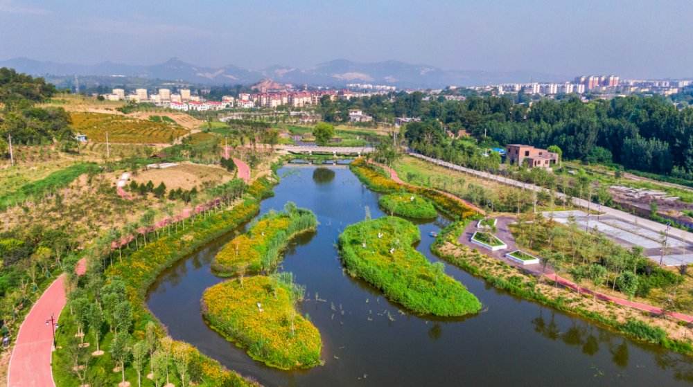 鹤山沙坪湿地公园图片