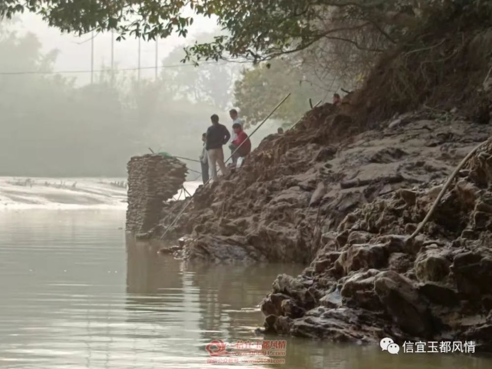 信宜虎跳图片