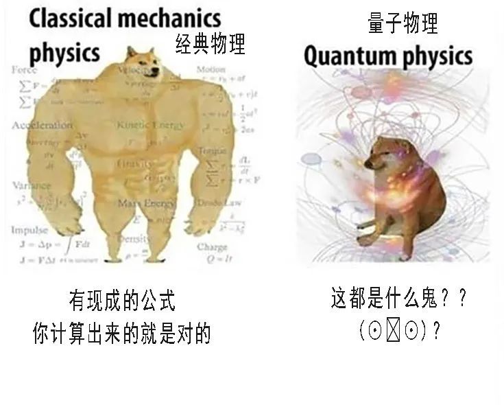 作为物理学四大神兽最出圈的一个,薛定谔的猫也常常被用在表情包里