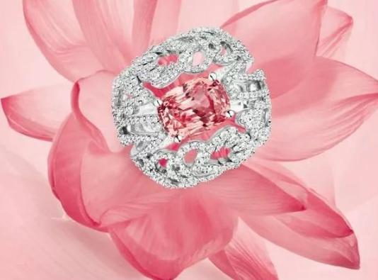 而是斯里兰卡的国花就是莲花,所以很自然帕帕拉恰又被斯里兰卡的人奉