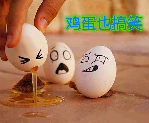 搞笑段子:鸡蛋卖不出去,老婆回农村老家弄来鸡屎,每一枚鸡蛋抹上一点
