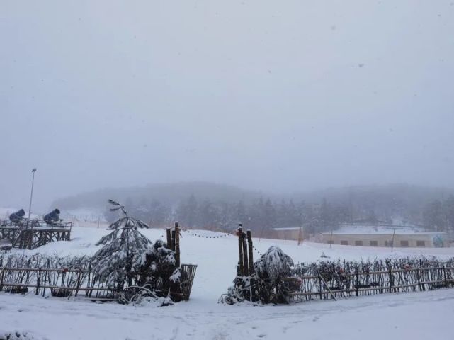 22年的第三场雪 这次要下到什么时候 大堰 奉化 商量岗 道路结冰黄色预警信号 溪口镇 雨雪