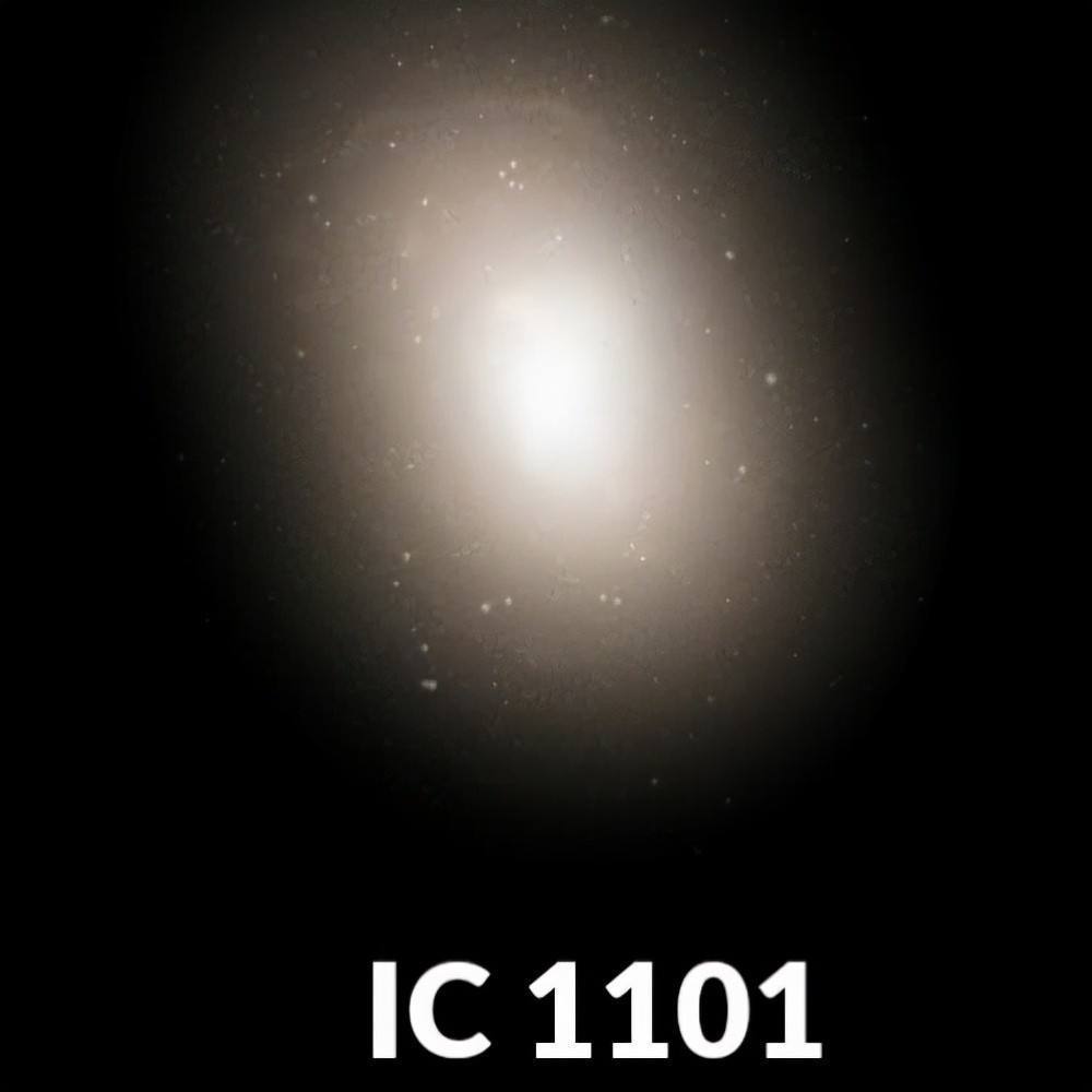 ic 1101