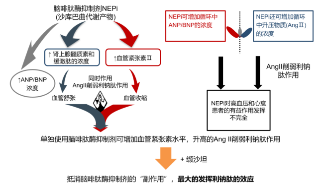 沙库巴曲是一种前体药物,进入体内后代谢成活性脑啡肽酶抑制剂,发挥