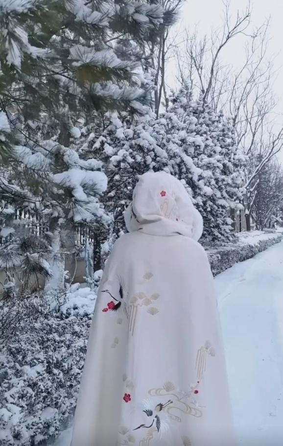 田亮曬女兒雪地近照!13歲森碟穿漢服仙氣足,亭亭玉立像古裝女主