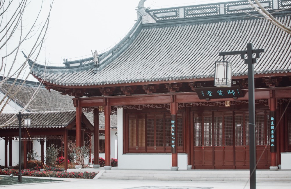 上海免费的古风公园藏着一座百年书院梅花开得正好却无一人