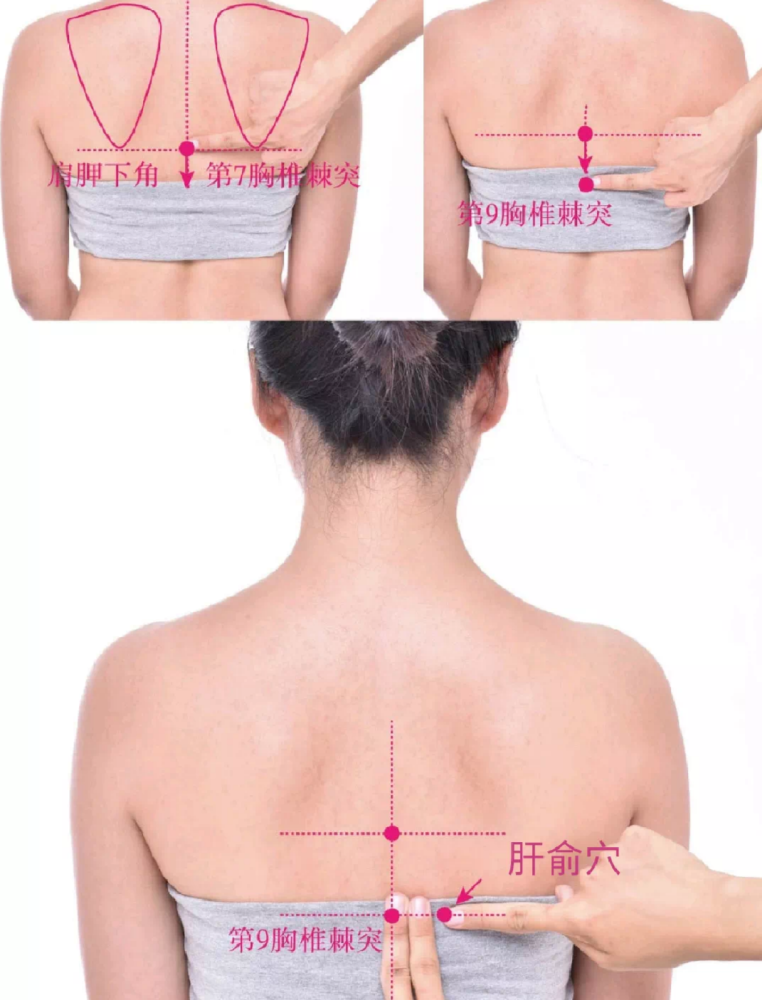 肝俞穴在背部,当第9胸椎棘突下,旁开1.