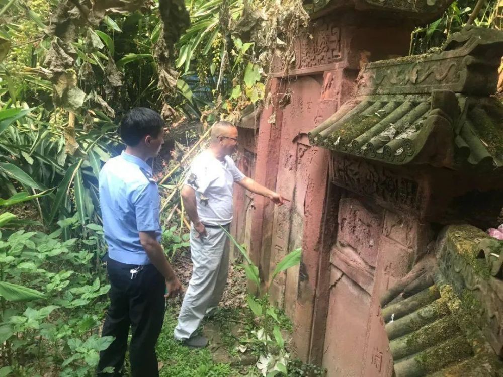 宜宾这8人盗掘古墓被抓追回被盗掘东汉明代文物37件