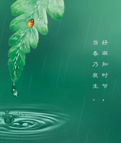 今日雨水春已悄发生雨知好时节