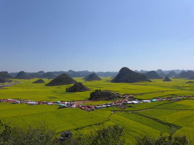 七年前羅平金雞峰叢的油菜花