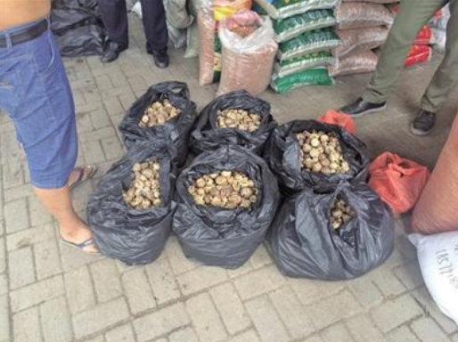 宁夏男子联系上家购买大量罂粟壳高价卖给内蒙下家案情曝光