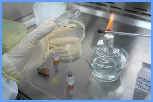 菌种的首次活化最好是在非选择性琼脂培养基上,除非特殊情况或特别