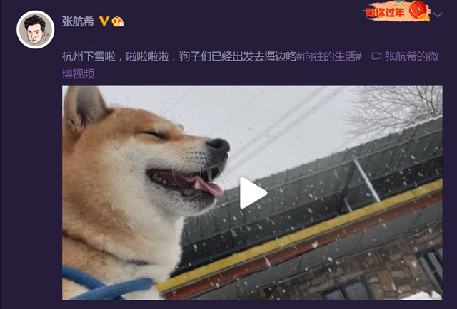 大家都知道小h和小o一直以来都是希希导演照顾,之前《哈哈哈哈哈》第