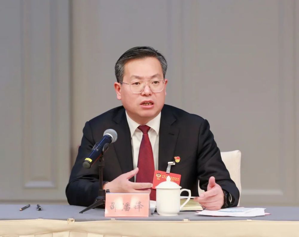 邵潘锋在参加政协工商联经济界别联组讨论时强调以四个多向发力谱写红