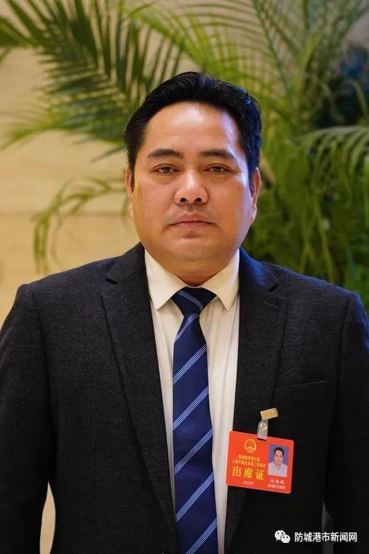 杨世鹏代表认为,产业兴旺是实施乡村振兴的内生动力,防城区要把"产业