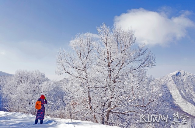 飛雪迎春到.日前,承德市圍場滿族蒙古族自治縣飄起了春雪.