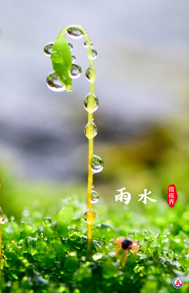 微视界雨水