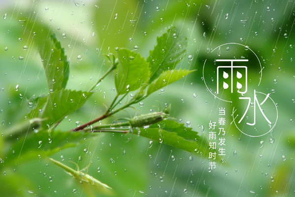 节气雨水沾衣欲湿杏花雨
