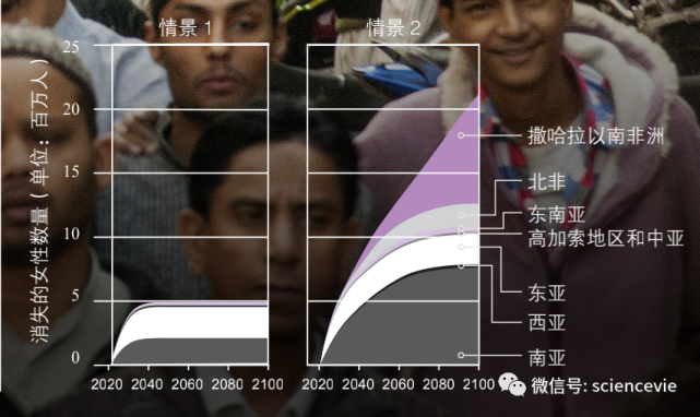 在作为参考的国家和地区中,可以看到韩国,中国香港,新加坡和格鲁吉亚