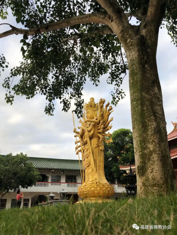 云赏闽中伽蓝▍漳浦法泉寺