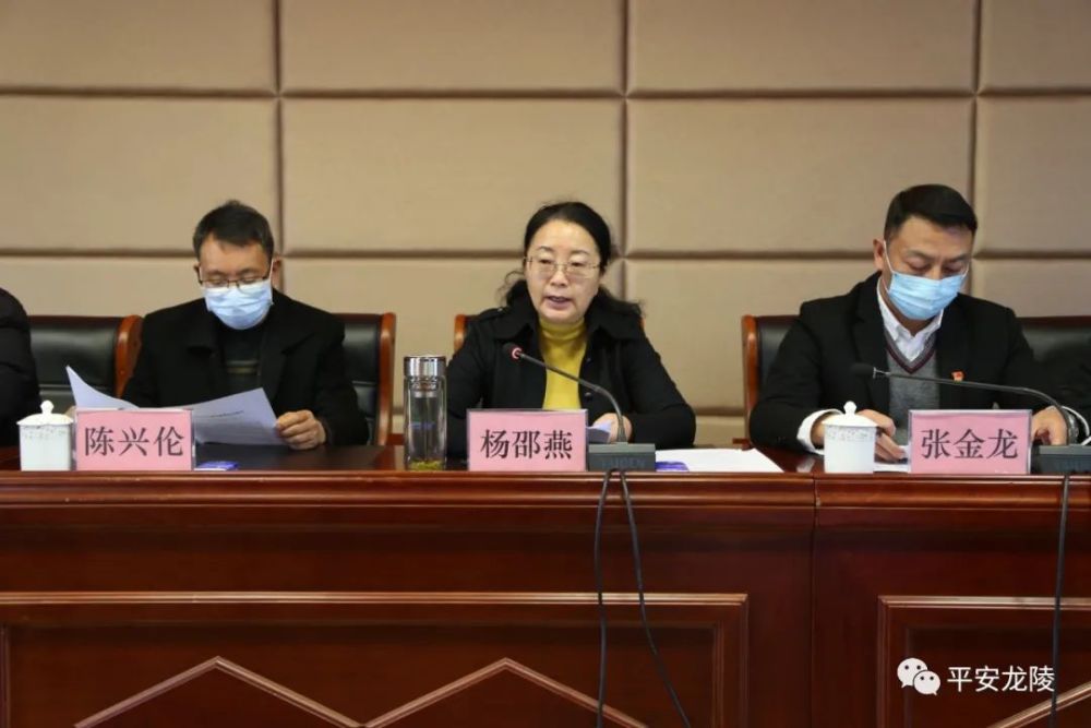 县委书记杨邵燕出席会议并讲话.