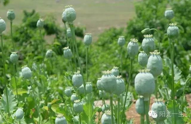 5G要来济南啦!十大领域完成5G商用